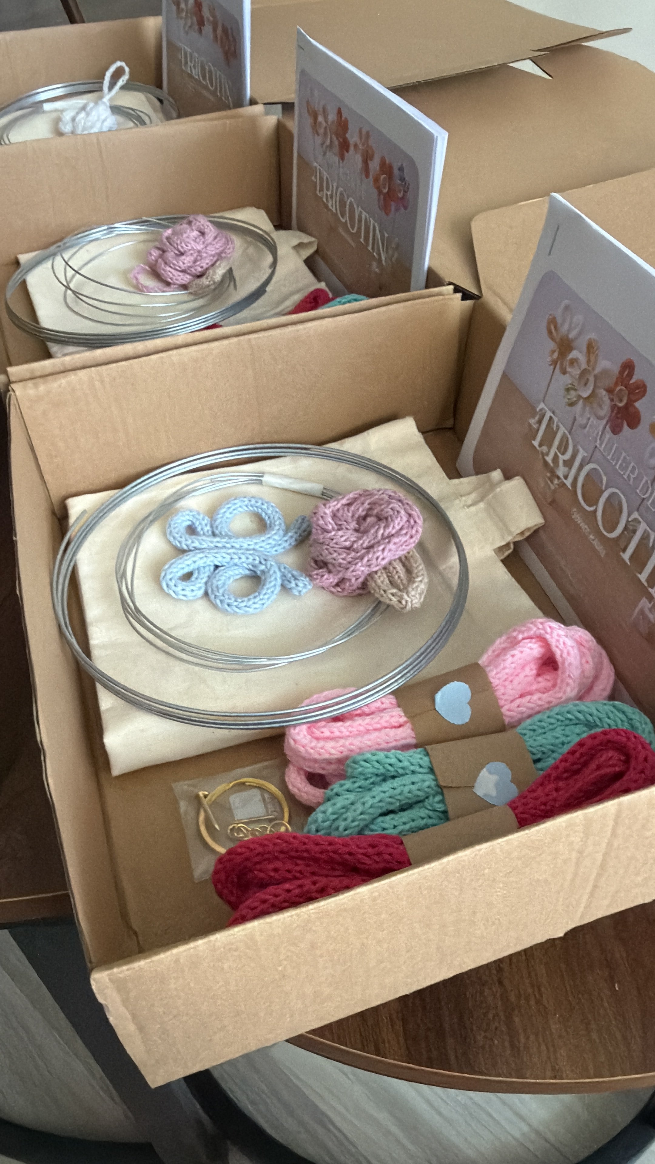 Craft Box de Tricotín